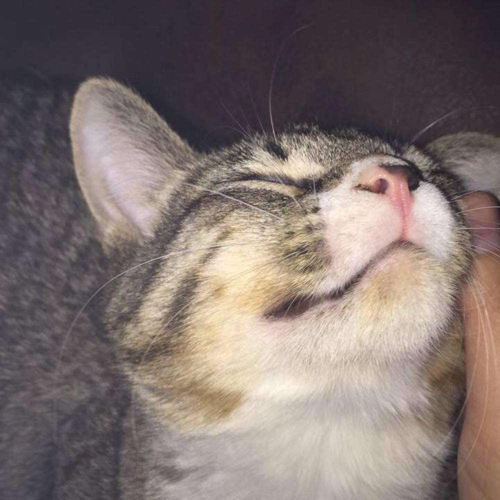 Meet your Posher, Markita